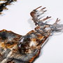 Wallity Deer 3 Multicolor